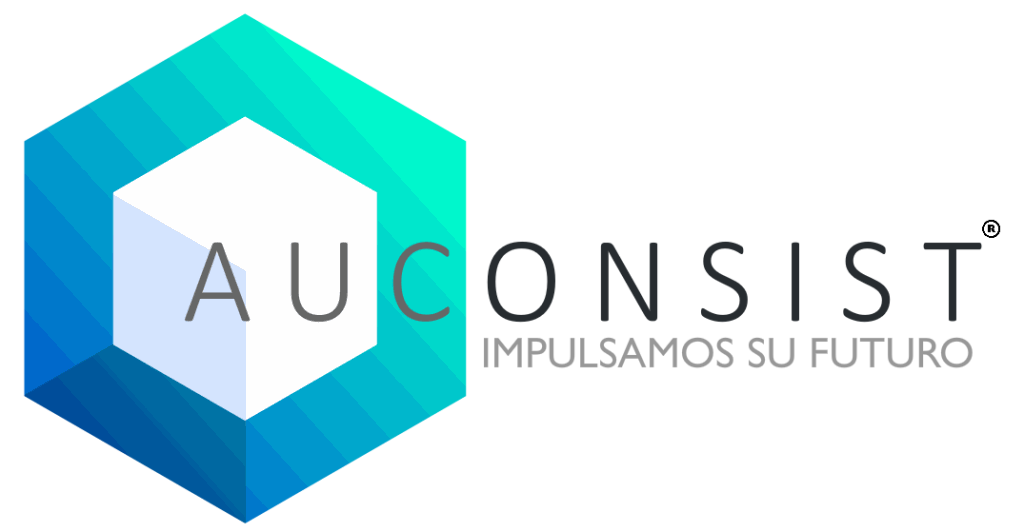 Auconsist Formación